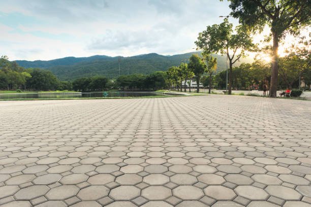 Best Professional Driveway Pavers  in Algonquin, MD